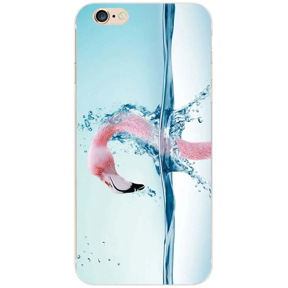 flamingos38