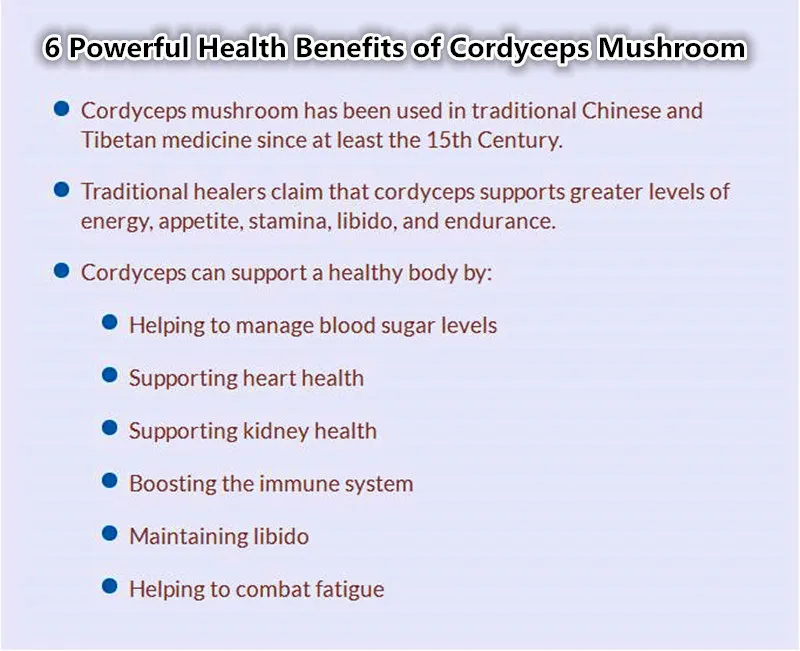 Top Grade Dry Cordyceps Mushroom,Original Cordyceps mycelium,Cordyceps Flower,High Quality& Natural with Free shipping