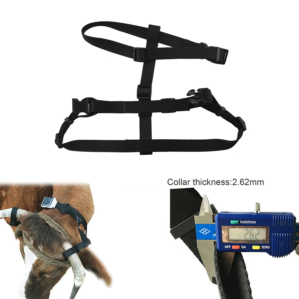 

Best GPS accessory pet collar for solar power GPS tracker RF-V26 RF-V26+ Collar for cow big pets No GPS include