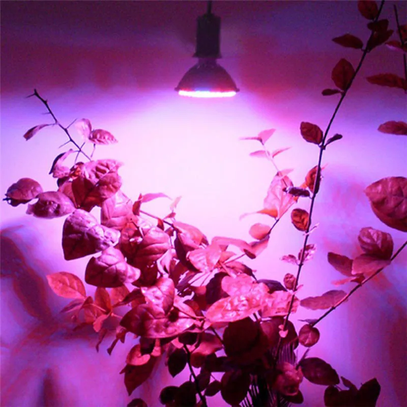 

Full Spectrum E27 LED grow light with 110V 220V 80leds for Garden Flowering Plant and Hydroponics System
