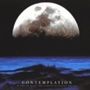 Contemplation - Slim Poster Print (36 x 12)
