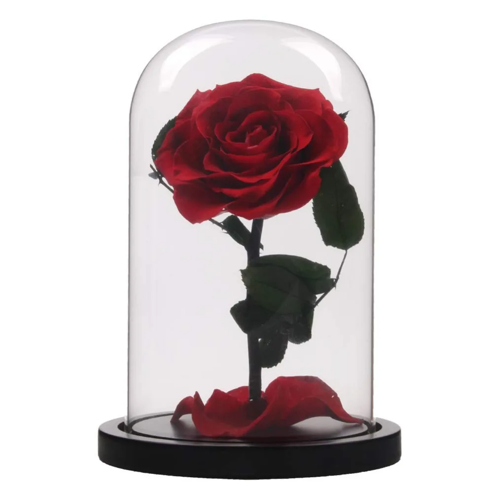 Enchanted Beauty The Beast Rose Preserved Fresh Flower Real Rose Fallen Petals In Glass Dome Bell Jar Display Case Wooden Base Aliexpress Home Garden