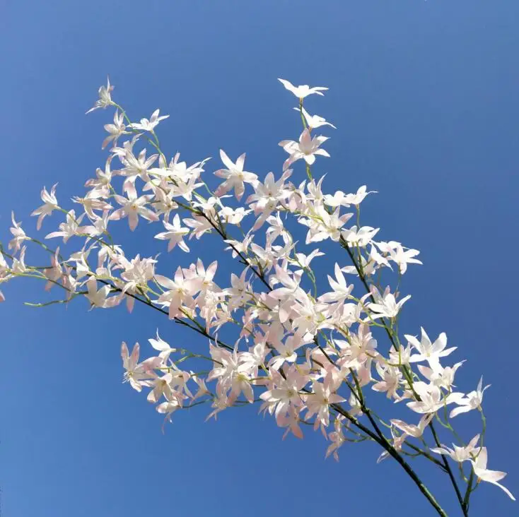 6 шт Шелковый Oncidium Орхидея ветвь цветка Танцы орхидеи стволовых для события Свадебные украшения для деревьев искусственные декоративные цветы - Цвет: Светло-розовый