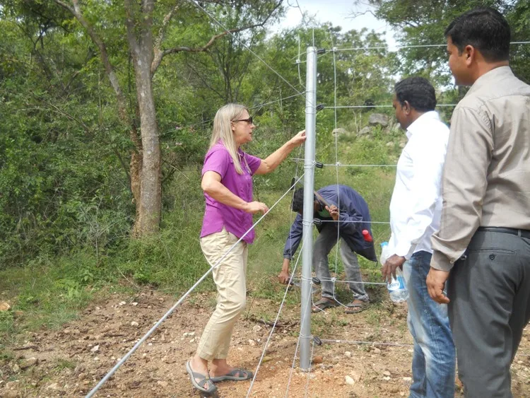 elephant electric fence