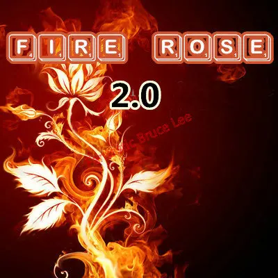 

The Fire Rose 2.0 --Magic Trick, Fun Magic, Party Magic,Fire Magic