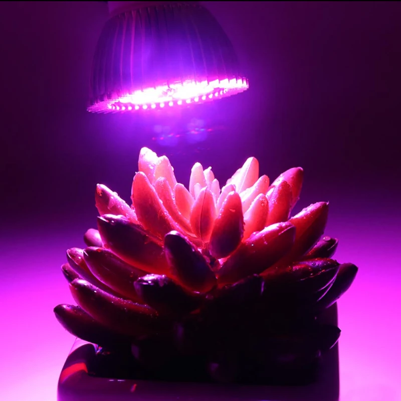 

18W Led Grow Light AC85-265V E27/E14/GU10 Red+Blue 18 Leds Hydroponic LED Plant Indor Grow Lights LED Bulb LED Growth Lamp
