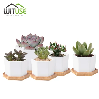 

WITUSE 4x Cute Flower Pots Container Glazed White Ceramic Mini Flowerpot Porcelain Plants Pots for Succulent plants +Saucer S+L
