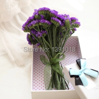 Natural Purple Flowers Promotion For Promotional Dried Flowers Purple Myosotis Natural Wind Home Decoration Diy Materials 10pcs Lot 6colros Wedding Gift