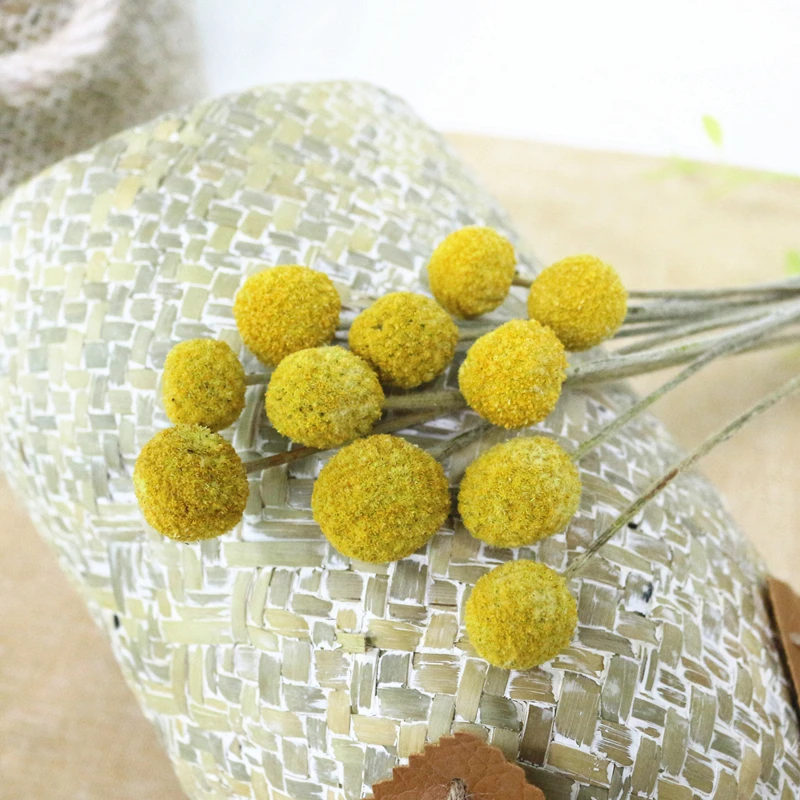 JAROWN Natural Dried Flowers Gold Ball Eternal Flores For Wedding DIY Bouquet Decorations Home Flower Arrangement Art (9)