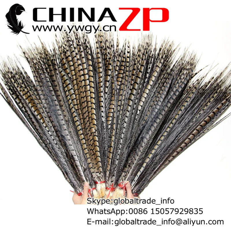 

CHINAZP Factory 10pcs/lot 70-80cm Exporting Quality Natural Lady Amherst Pheasant Feathers