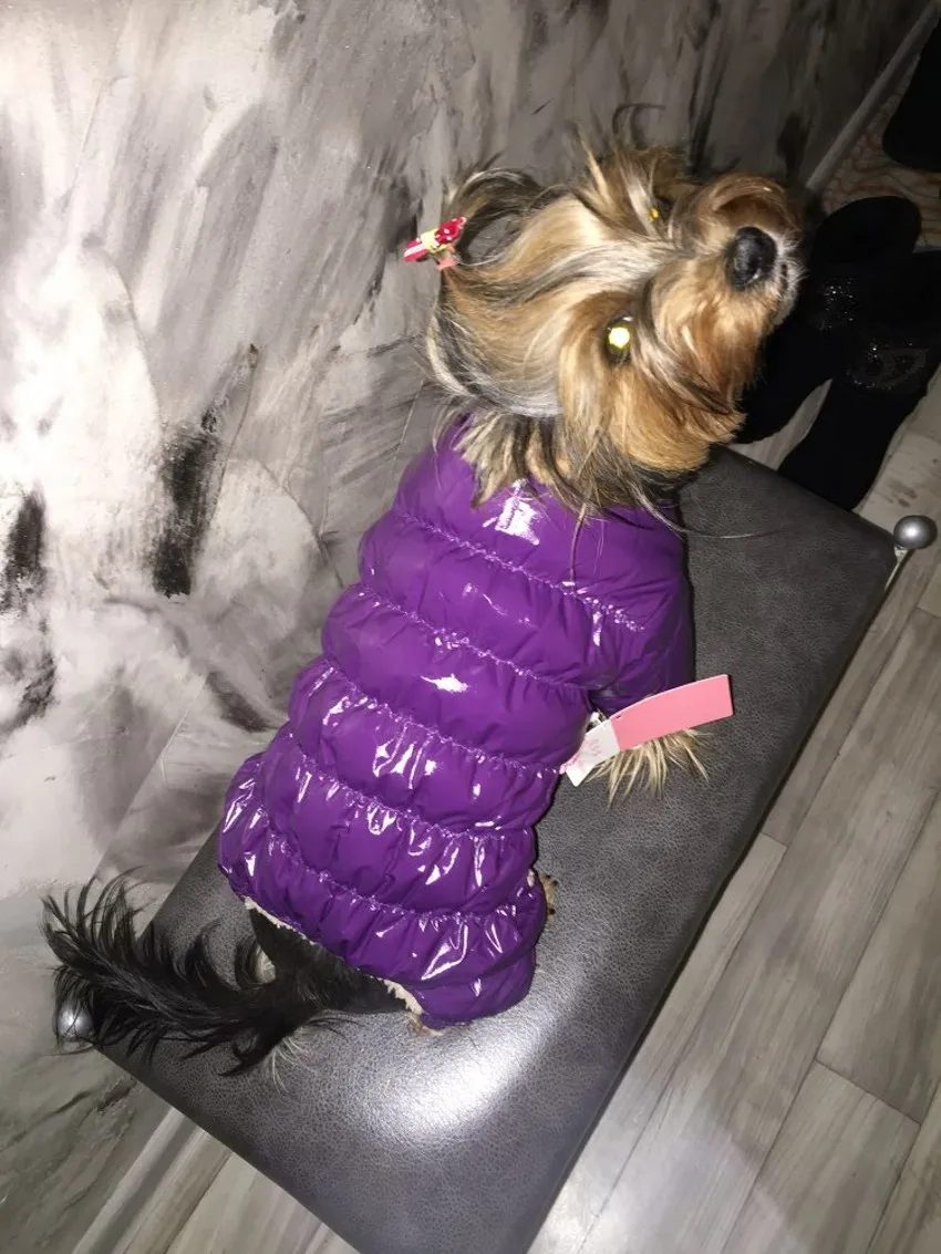 Зимний комбинезон для собаки, штаны, одежда для чихуахуа, теплое хлопковое пальто для собак, куртка большого размера для собак, одежда для домашних животных, ветрозащитный костюм для собак