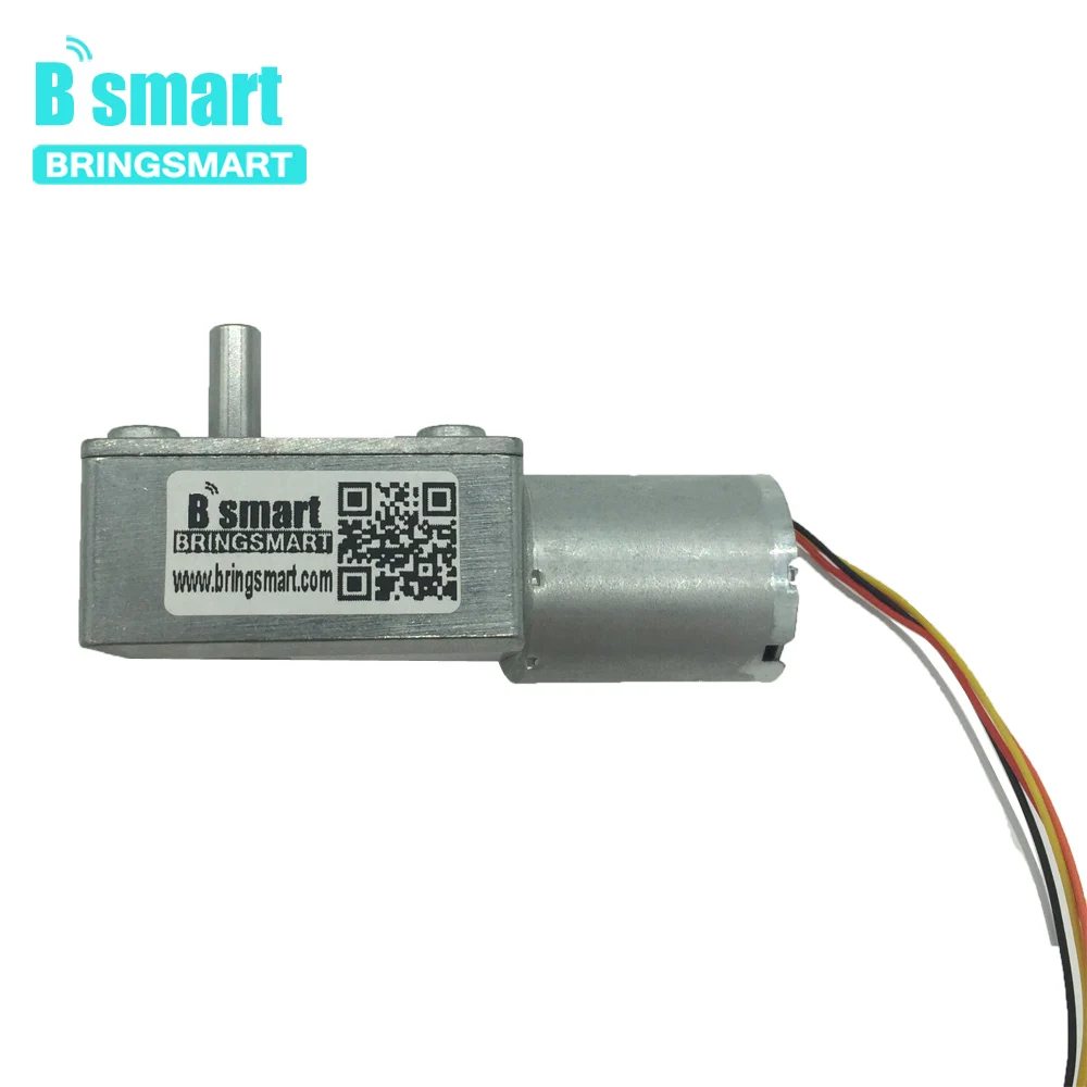 

Bringsmart DIY JGY-2430 Brushless Worm Gear DC Motor Electric Motor 12v 24V Self-lock Reversed Gearbox low speed with Brake