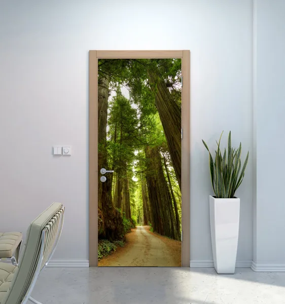 pol_pl_Naklejka-na-drzwi-Droga-w-lesie-7405-1218_1