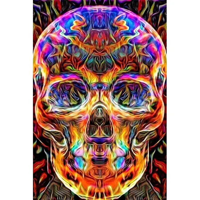 

Skull 5D Full Square Diamond Painting DIY Art Embroidery Cross Stitch Diamond Mosaic Wall Decal Home De