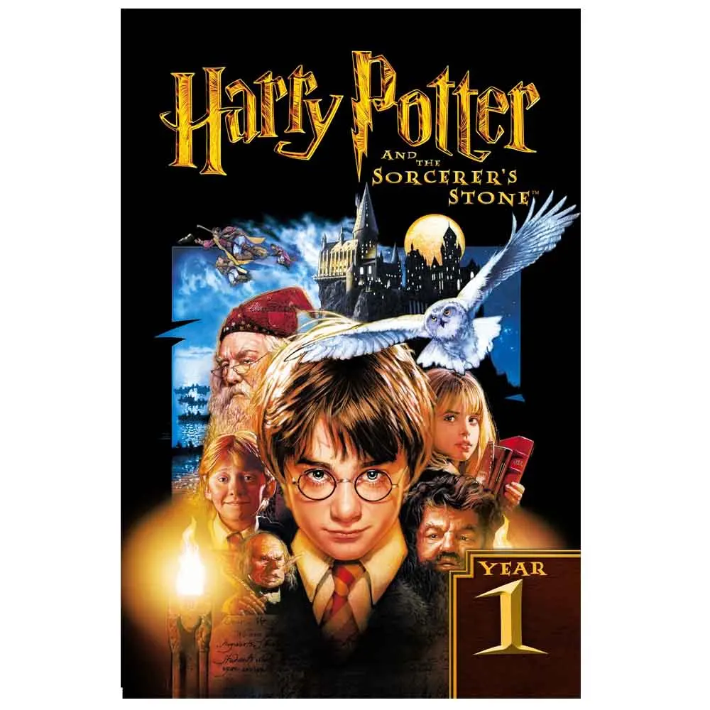 

Harry Potter Year 1 the Sorcerer's Stone Art Silk Fabric Movie Poster Print 24x36 36*48 inch Wall Picture Home Room Decoration