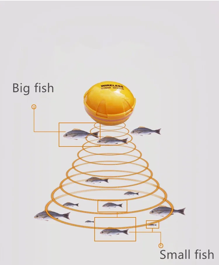 fishfinder (8)