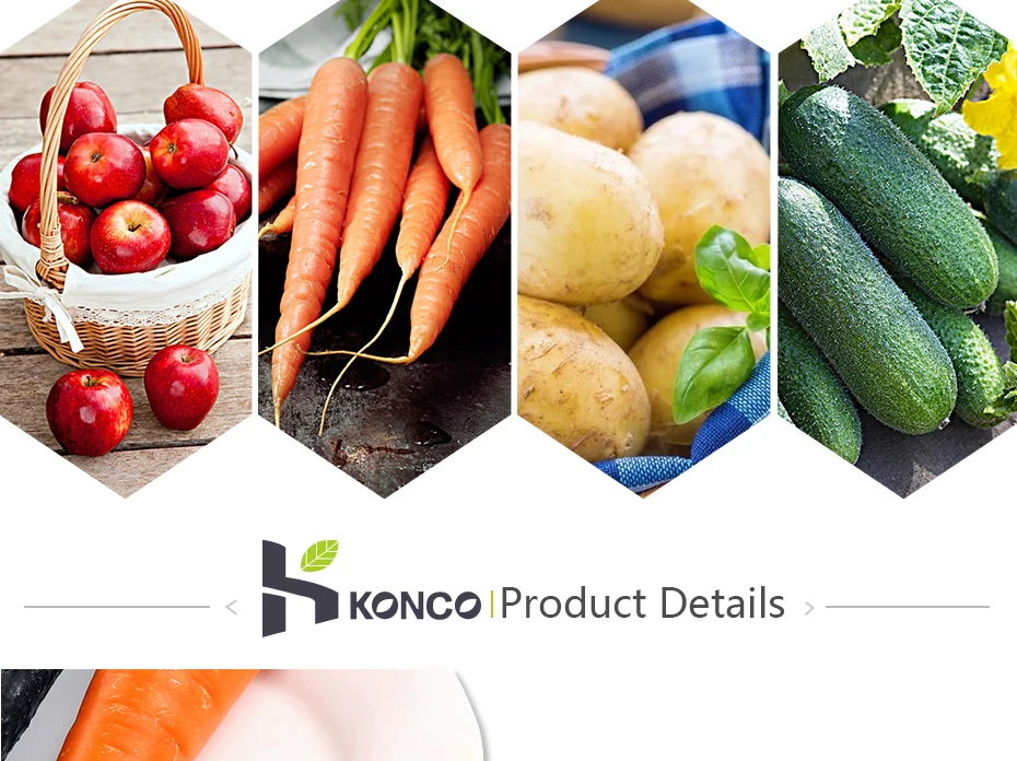 konco_06