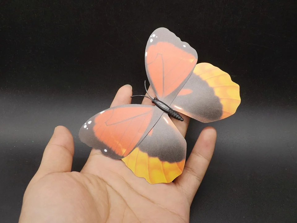 I227-Butterfly (2)