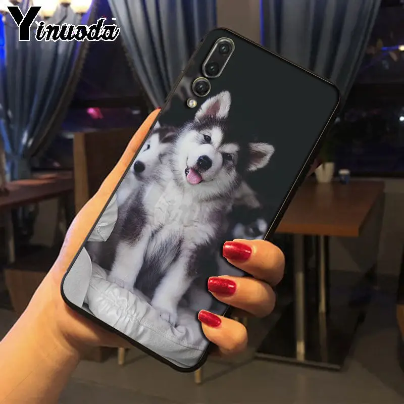 Yinuoda Husky dog черные мягкие Аксессуары для телефонов Чехол Huawei P20pro mate10lite p9 p10plus honor 8x 7A
