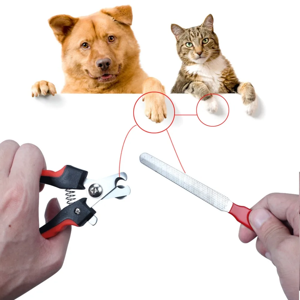 2 In 1 Pet Nail Clippers Cutter File for Dogs Cats Birds Guinea Pig Animal Claws Scissor Cut Set Kit  (7)