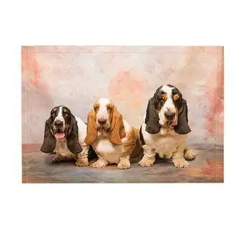 

Animal Bath Rugs By, Childlike Funny Basset Hound Pet Dog, Non-Slip Funny Indoor Outdoor Doormat