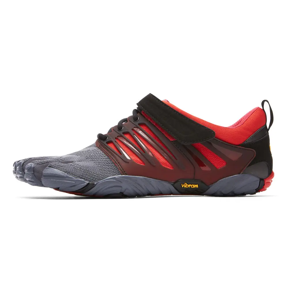V-Train grey black red 13M6602 LATERAL