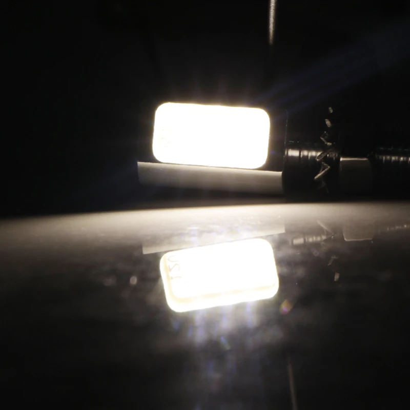 License Plate Screw Bolt Lights 3