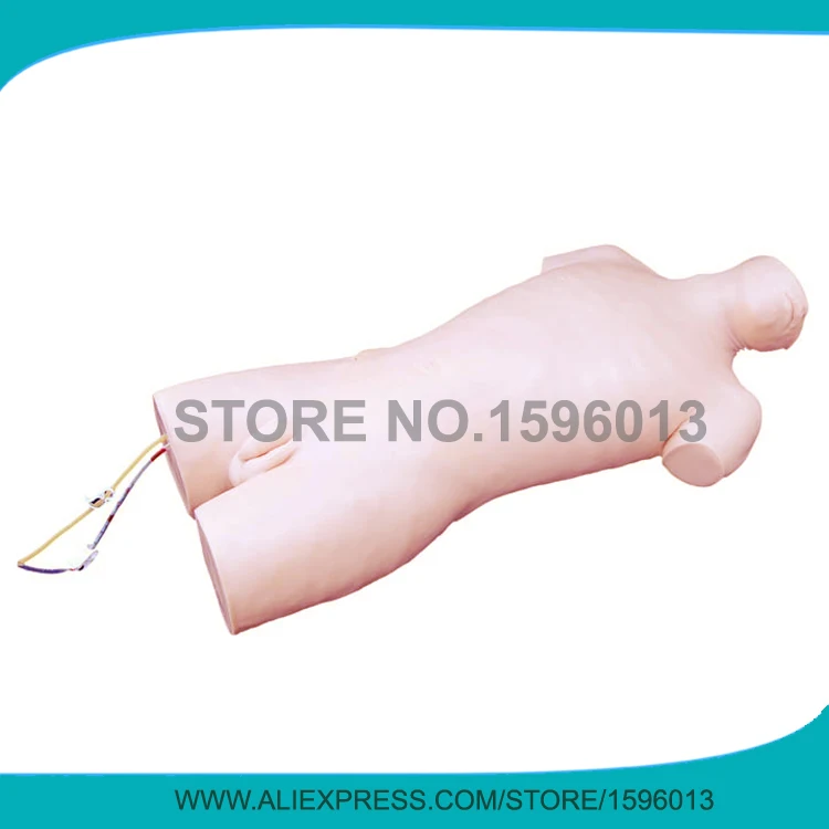 

Central Venous Puncture Model,Central Venous intravenous injection Torso