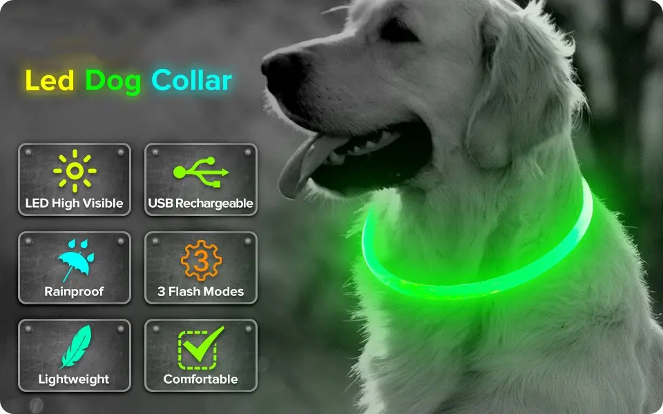 xgjVZMqSyGB._UX960_TTW__