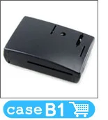 B1