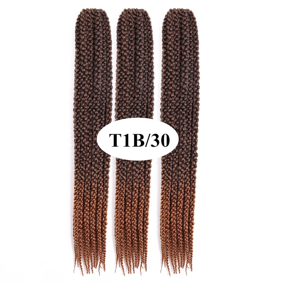 t1B30