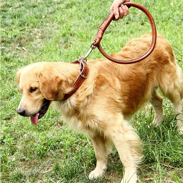 New Pu Leather Dog Collar Strong Bite Prevention Necklace with Traction Rope for Small and Medium Dog Pet Collar Accessories