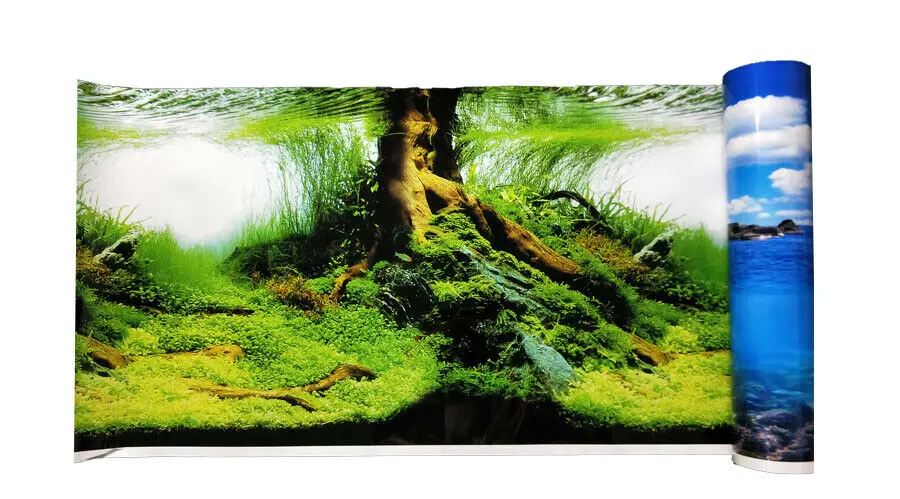 9045 23," x 60" двусторонняя аквариум украшения картина плакат Waterscape/три рыбы задний фон для аквариума