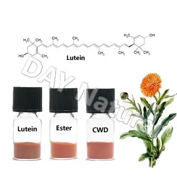 100% natural Marigold flower extract lutein powder 90% |