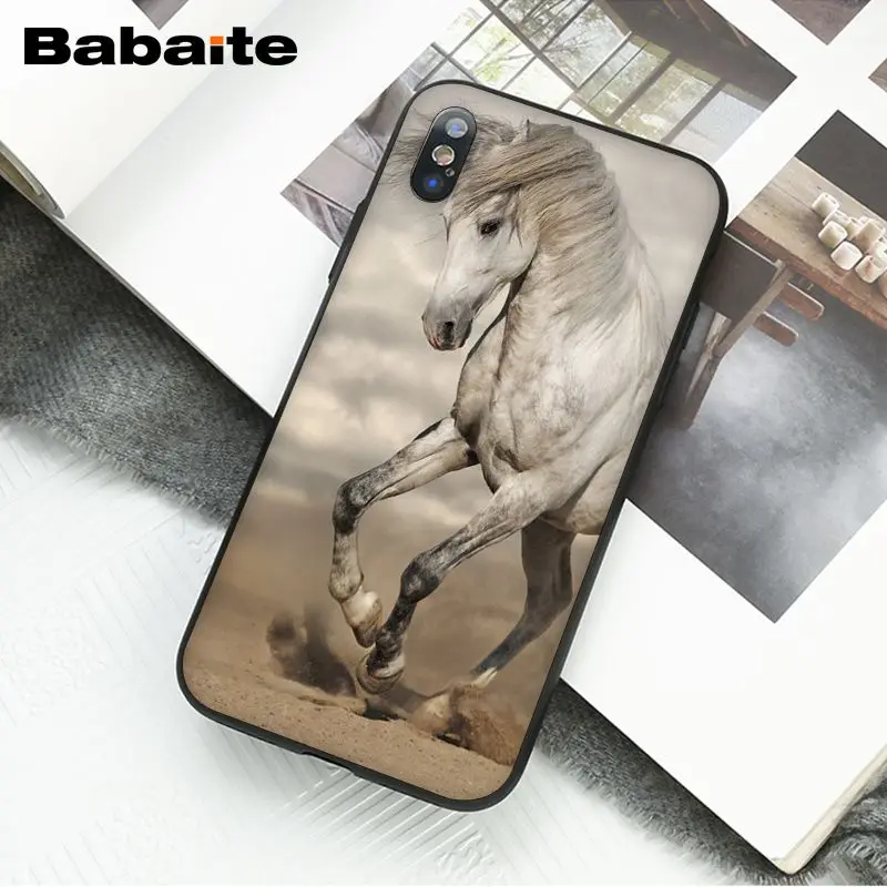 Horse Animal