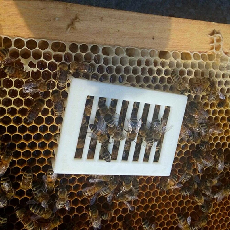 6x пластик белая королева пчела клетка-изолятор выращивание Ловец пчеловодства Безопасный инструмент