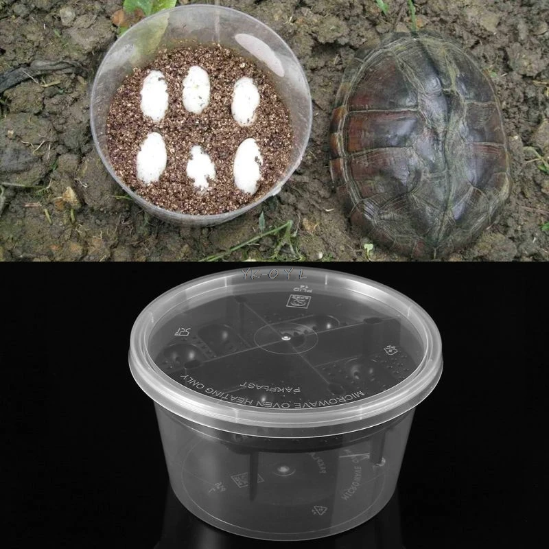 gecko egg incubator gecko egg incubator