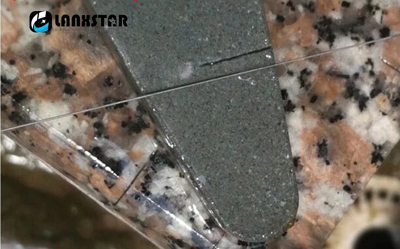 HTB1C..zSFXXXXcPXFXXq6xXFXXXr