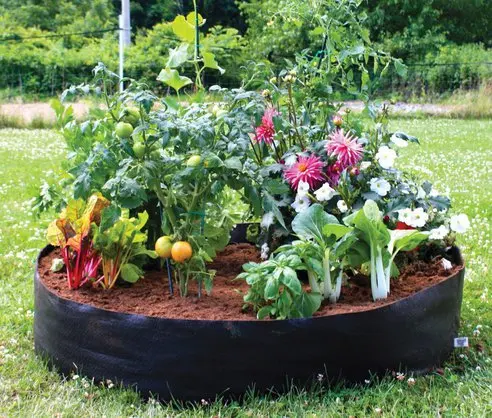 Garden Bags For Planting Global Buckets Grow Bags. Plant Potatoes ... Garden Bags For Planting Global Buckets Grow Bags. Plant Potatoes ...