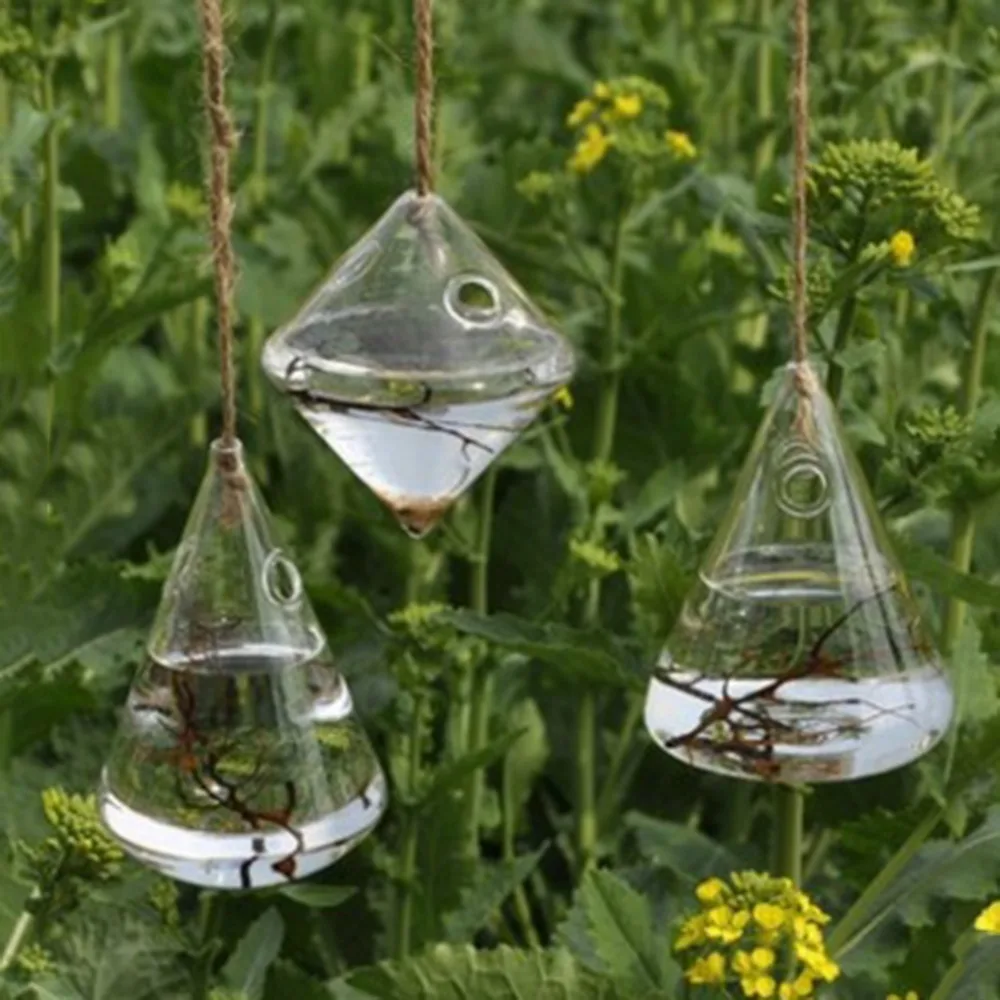 Hanging Clear Glass Vase Hanging Terrarium Hydroponic Plant Flower