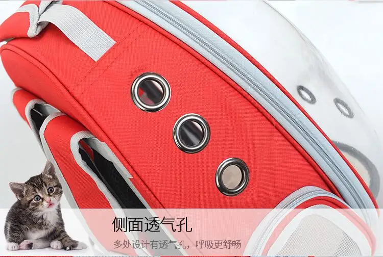 QQ20181130160316