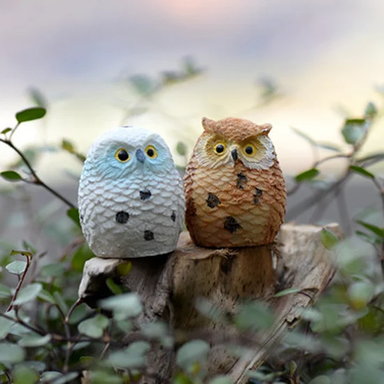 2016 nuevo diseño diy búho adorno de la muñeca del ornamento suculentas maceta decoración del jardÃn.jpg
