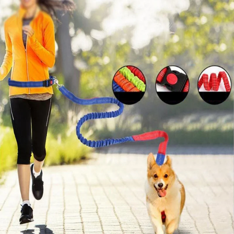 New Waist Belt For Pet Dog Collar Leash Running Puppy Lead Sport