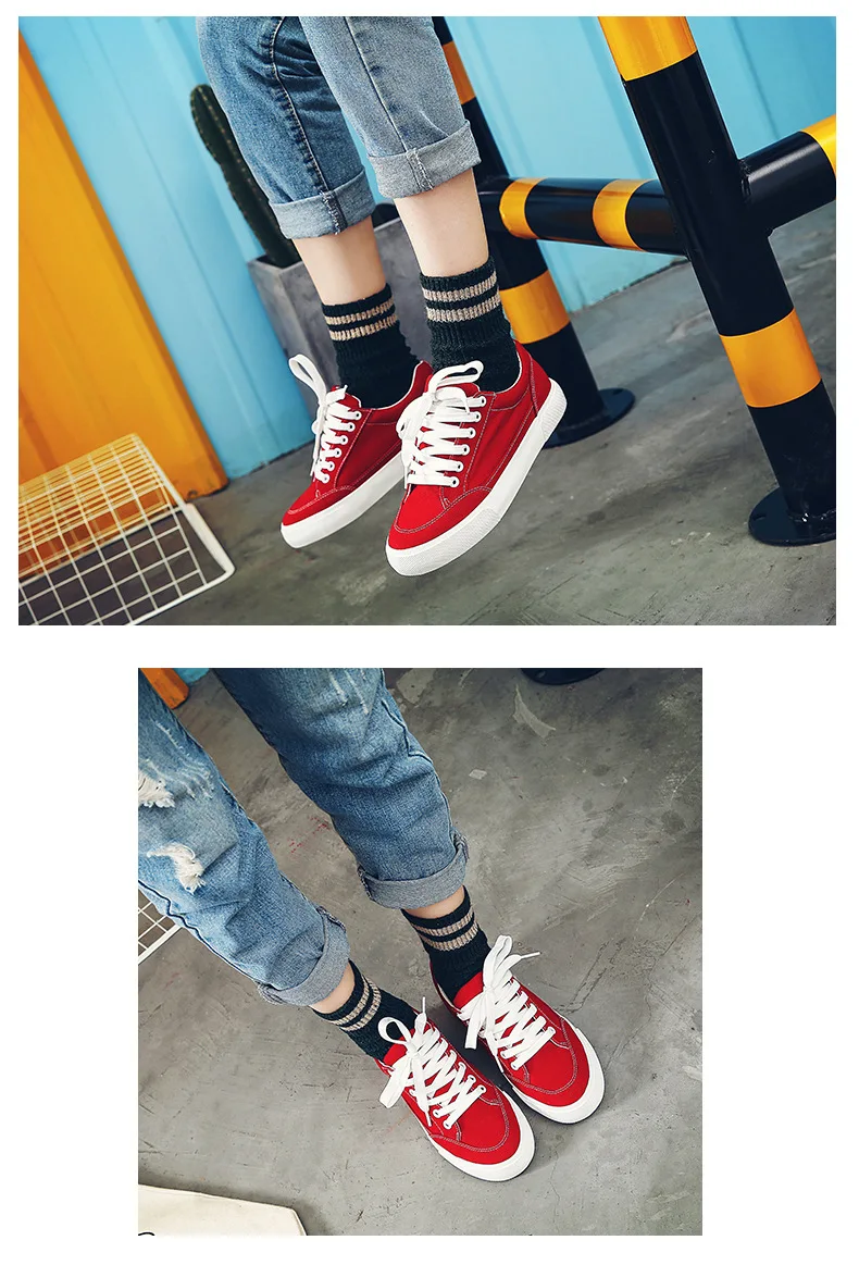 4051926595_1218199510