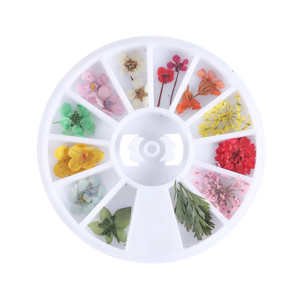 1 Box Смешанная сухоцветы 3D ногтей украшения летние натуральный цветочный дизайн листьев для ногтей DIY наклейки маникюрные инструменты SAF10