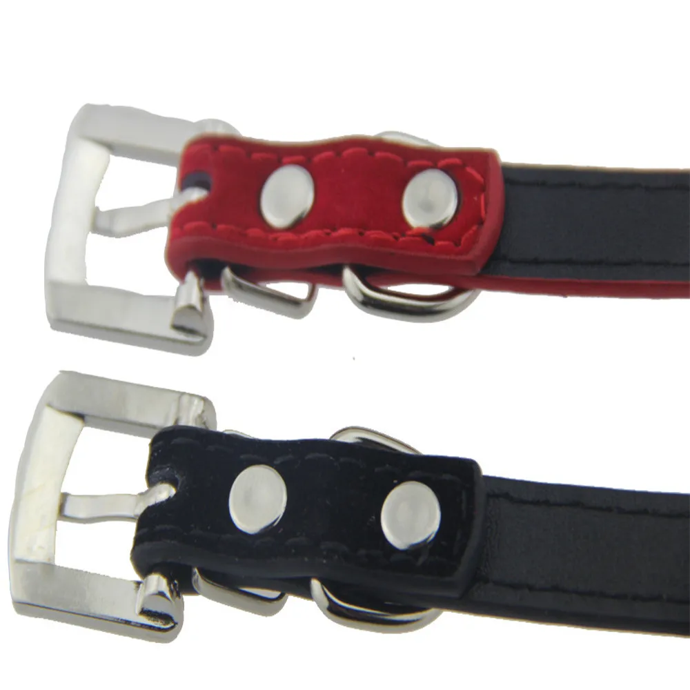 dog_collar_98010_