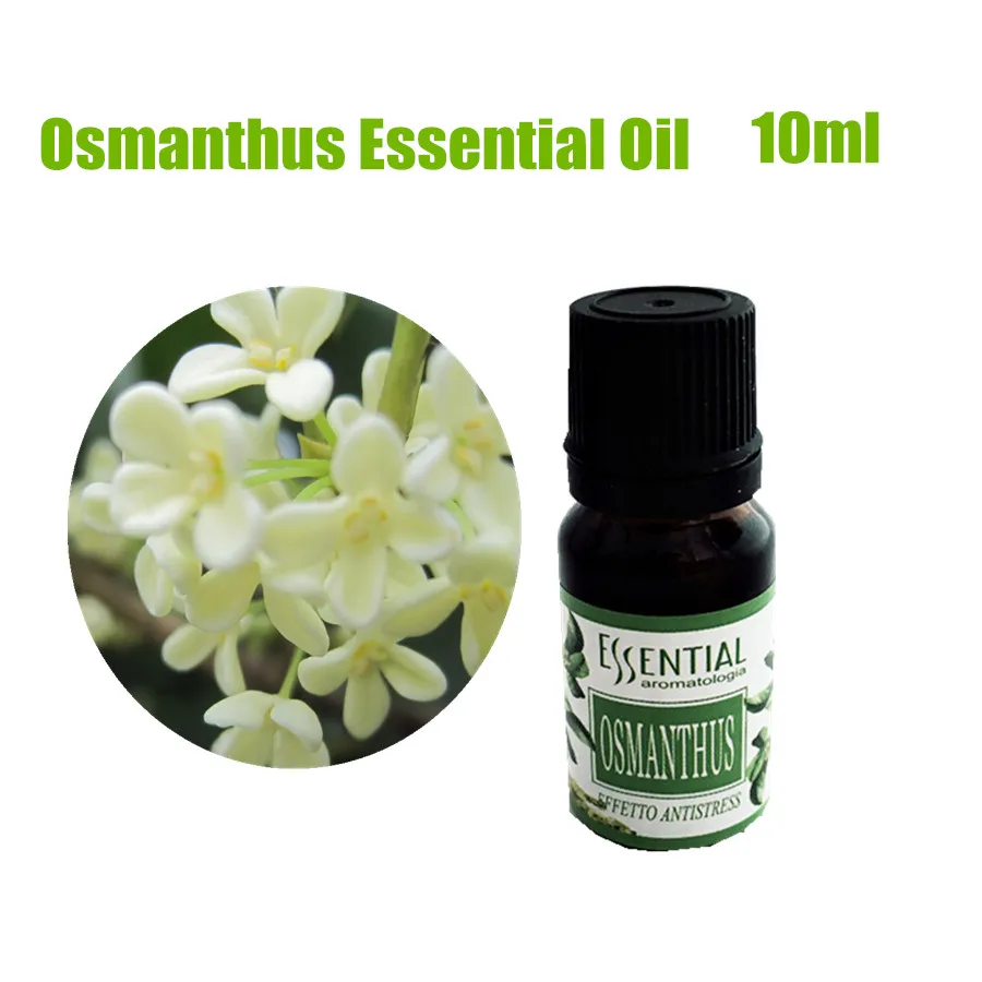 Pure Natural Osmanthus Essential Oil Extract Massage Air Freshener
