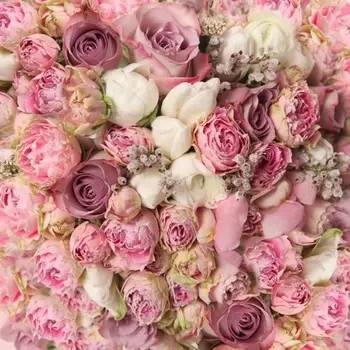 

Flowers In Full Bloom Wedding Photography Background White And Pink Roses Vinly Valentine'S Day Backdrops