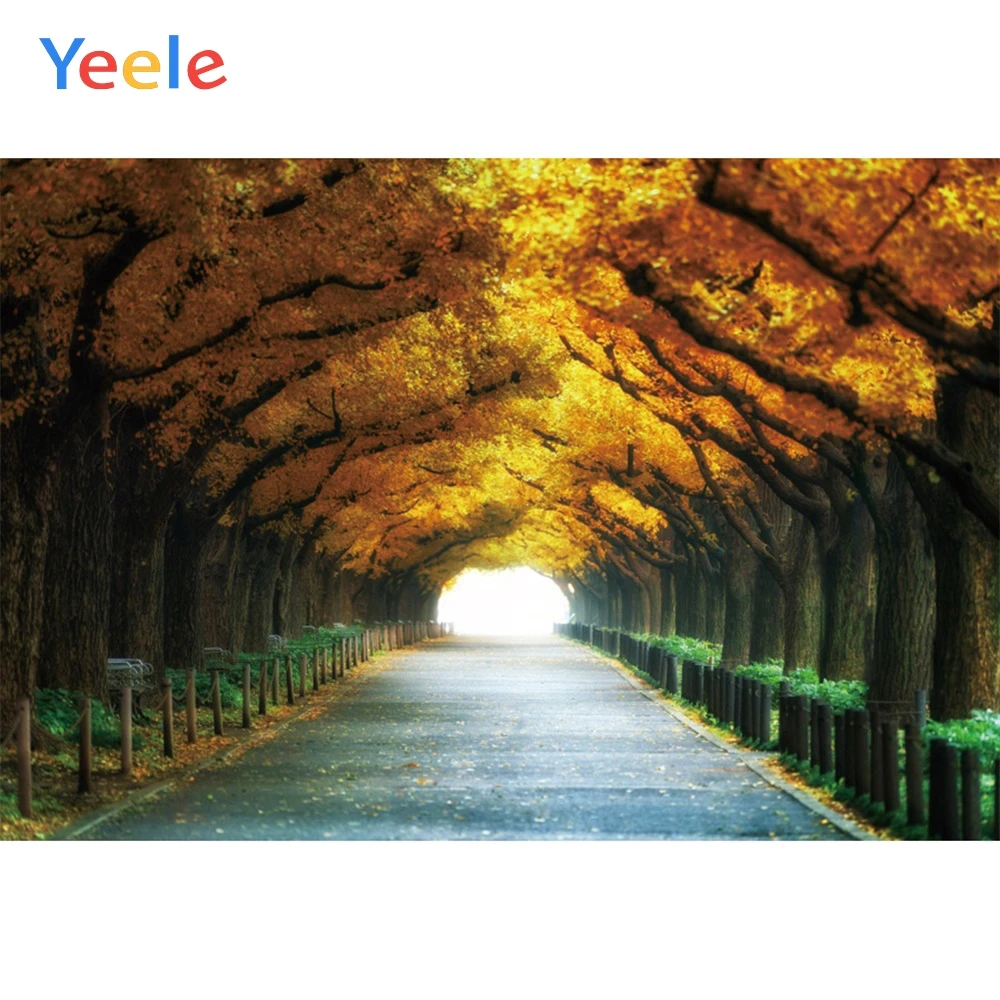 

Yeele Autumn Boulevard Road Beautiful Landscape Natural Scenery Photography Backgrounds Photographic Backdrops For Photo Studio