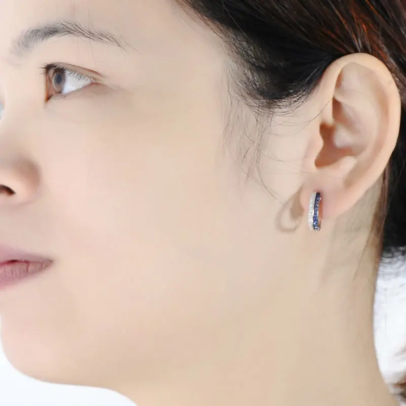 E307179BZZSK925-Silver Earrings